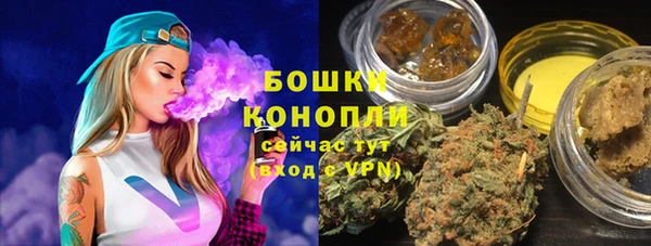 стафф Щигры