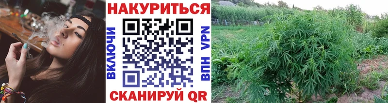 нарко площадка телеграм  Балей  Канабис Ganja 